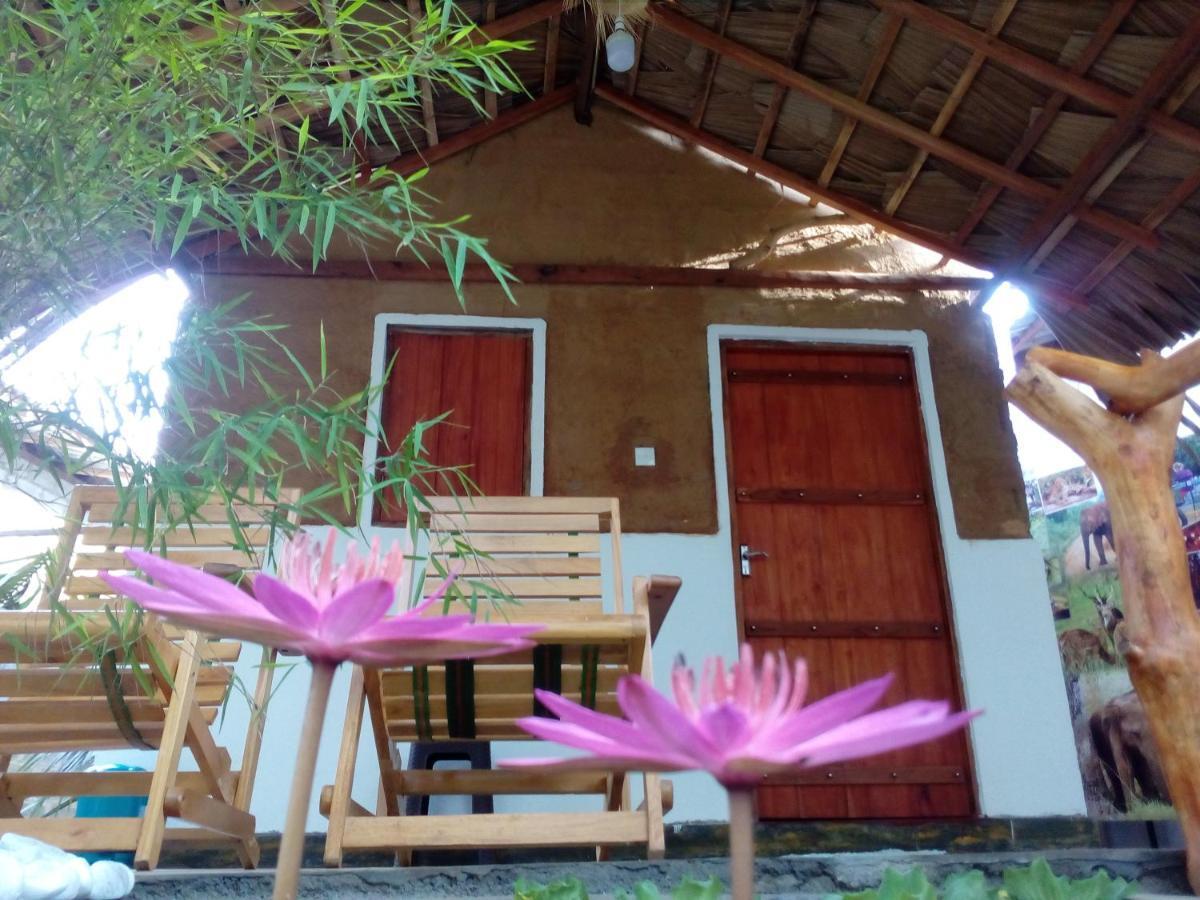 Nature Lovers Safari & Villa Udawalawe Kültér fotó
